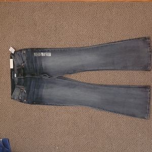 NWT MAURICES boot cut jeans